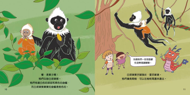 中國動物 [繽紛中華]-故事: 兒童繪本 Picture Books-買書書 BuyBookBook