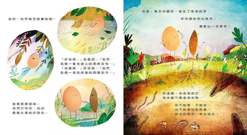 籽兒與鳥蛋 ★榮獲UKLA Book Award 3-6歲推薦書獎-故事: 兒童繪本 Picture Books-買書書 BuyBookBook