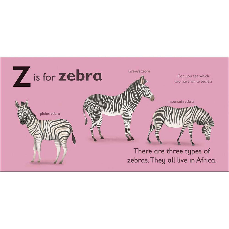 Z is for Zebra (Board book) DK UK