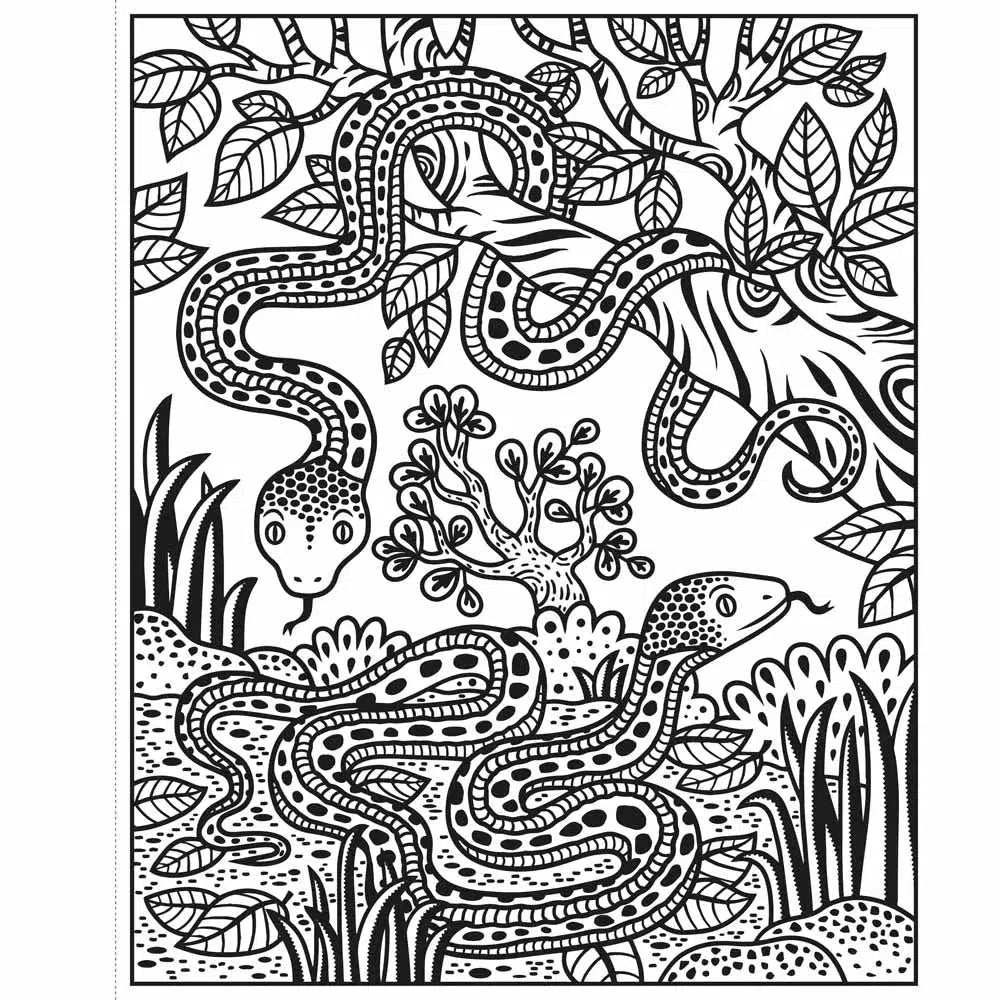 Zoo Magic Painting Book Usborne