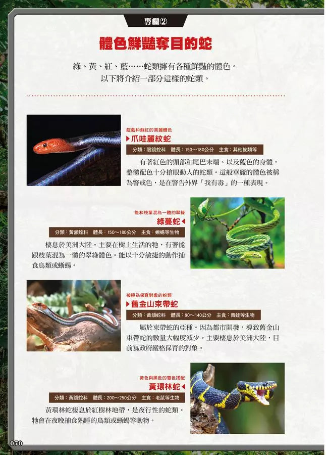 最強戰鬥4 全球蛇類 最強王者大戰圖鑑 (加藤英明)-非故事: 動物植物 Animal & Plant-買書書 BuyBookBook