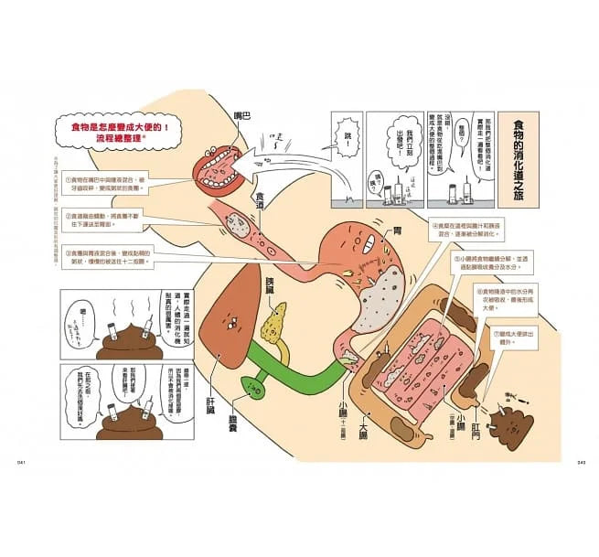 最有梗的人體教室 - 針筒兄弟與他們的器官小夥伴 (上谷夫婦)-非故事: 參考百科 Reference & Encyclopedia-買書書 BuyBookBook