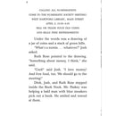 A to Z Mysteries Super Edition