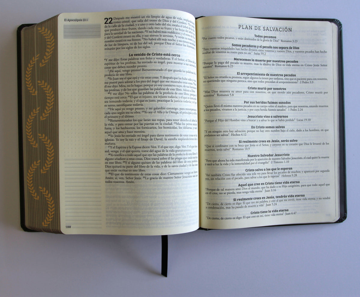 Biblia de apuntes RVR 1960 TD, Negro y oro (Edición cantos pintados) / Spanish Journaling Bible RVR 1960 HC Black and Gold interior 8 (ISBN 9798890982230) [onix:bd39ebb8475597b8a5ca27f7c2dbadf5]