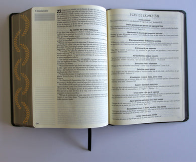 Biblia de apuntes RVR 1960 TD, Negro y oro (Edición cantos pintados) / Spanish Journaling Bible RVR 1960 HC Black and Gold interior 8 (ISBN 9798890982230) [onix:bd39ebb8475597b8a5ca27f7c2dbadf5]