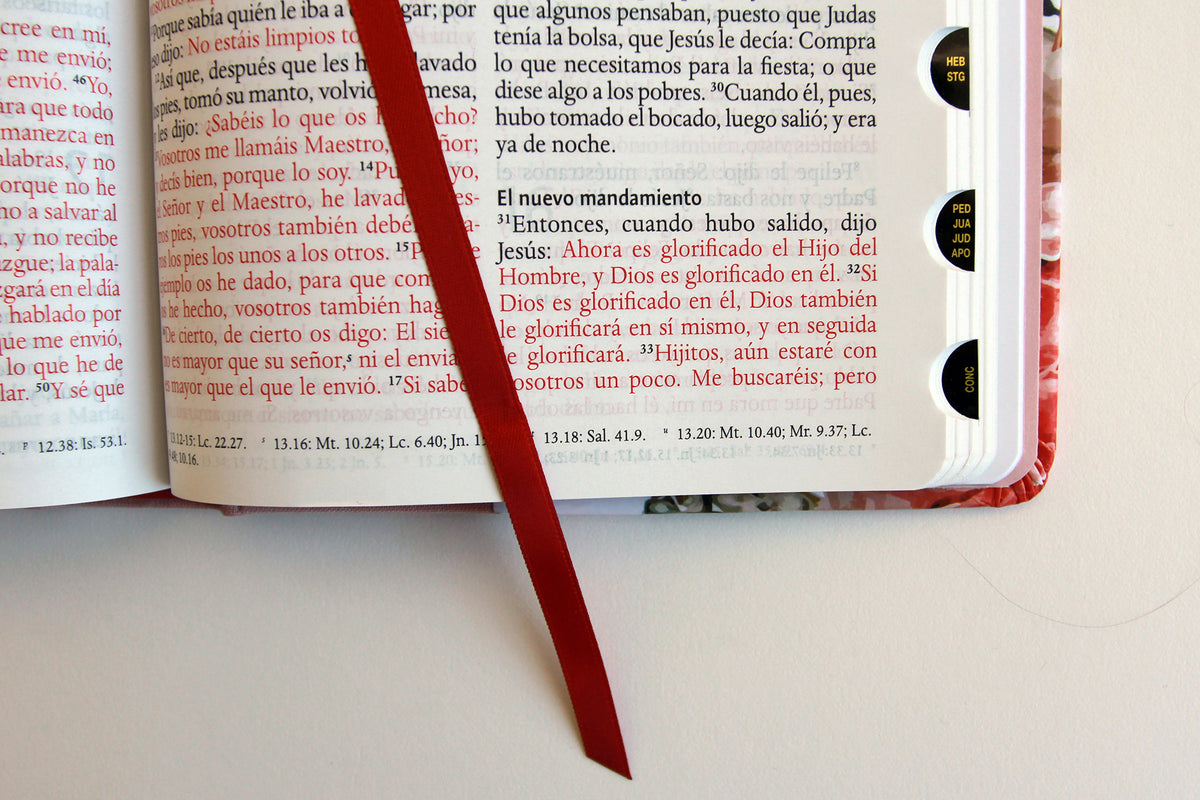 Biblia Reina Valera 1960 letra grande. Tela rosada con flores, manual con índice / Spanish Bible RVR 1960, Large Print, Pink Floral Cloth with Index interior 5 (ISBN 9798890981653) [onix:7441f69cb1cd10ca2354843f42ce4c63]
