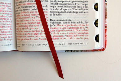 Biblia Reina Valera 1960 letra grande. Tela rosada con flores, manual con índice / Spanish Bible RVR 1960, Large Print, Pink Floral Cloth with Index interior 5 (ISBN 9798890981653) [onix:7441f69cb1cd10ca2354843f42ce4c63]