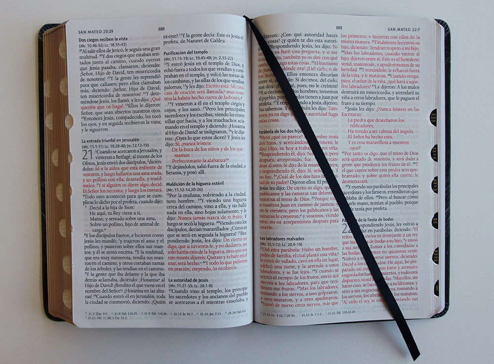 Biblia Reina Valera 1960 letra grande. Biblia León símil piel índice / Spanish Bible RVR 1960 Handy Size Large Print imitation leather Lion of Judah interior 4 (ISBN 9798890980069) [onix:f65b3e5e646deab476170e1cb943a441]