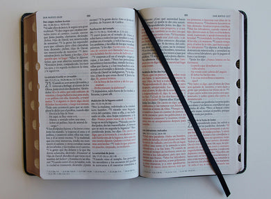 Biblia Reina Valera 1960 letra grande. Biblia León símil piel índice / Spanish Bible RVR 1960 Handy Size Large Print imitation leather Lion of Judah interior 4 (ISBN 9798890980069) [onix:f65b3e5e646deab476170e1cb943a441]