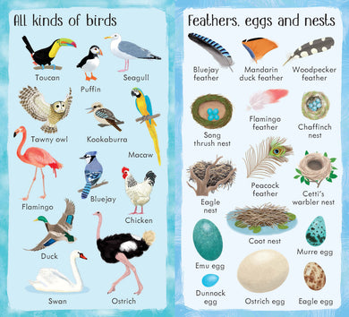 199 Things in Nature interior 1 (ISBN 9781474941037) [onix-asset:2774f423bc0673c0972b5293035cfebae7116551b776cfc1cfe8cb78ad90f0a9]