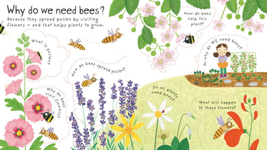 First Questions and Answers: Why do we need bees? interior 1 (ISBN 9781474917933) [onix-asset:44988677a9a50994caf7eaff923b22550342e8262358b7d156f3f7e820e2ba56]
