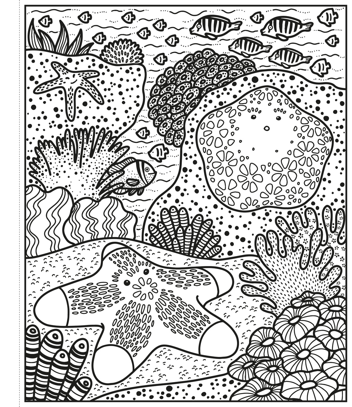 Coral Reef Magic Painting Book interior 1 (ISBN 9781474994743) [onix-asset:19e6cbf03b1ec38a8f2ad126061cf8dc6ae718e9479e70b5db0aed2850745272]