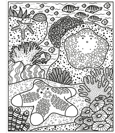 Coral Reef Magic Painting Book interior 1 (ISBN 9781474994743) [onix-asset:19e6cbf03b1ec38a8f2ad126061cf8dc6ae718e9479e70b5db0aed2850745272]