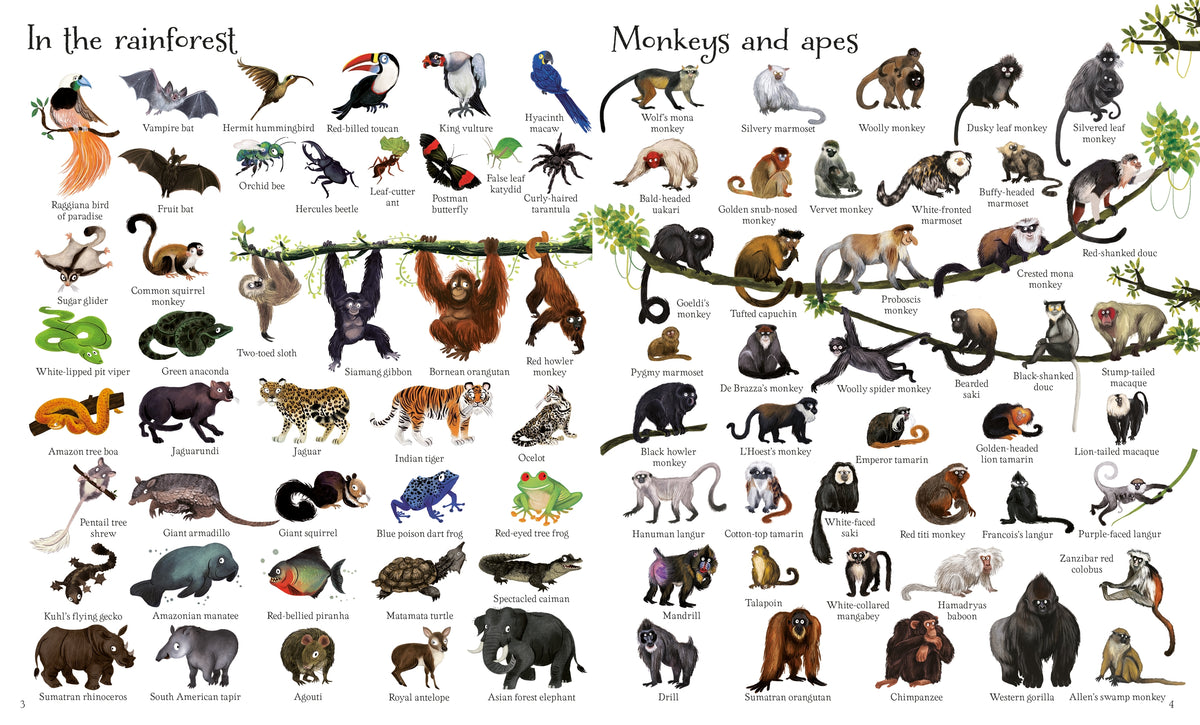 1000 Animals interior 1 (ISBN 9781474951340) [onix-asset:4225c2cddbe20c3eab4e824225ce91faed51a2f3d89f2ed821fe4fe81d3f6865]