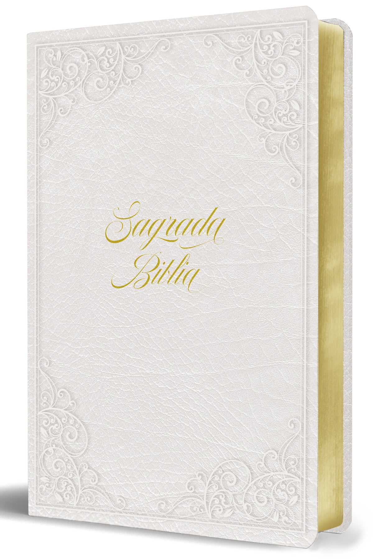Biblia Católica: Letra grande. Símil piel blanca: boda, quinceañera, primera comu nión / Catholic Leathersoft White Bible: Bride, Quinceanera, First Communi cover (ISBN 9798890980014) [onix:094533f65af370b8aca8ec4d7c326ea7]