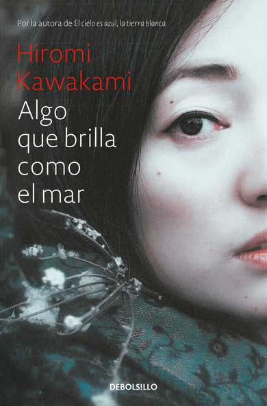 Algo que brilla como el mar / Something that Glitters Like the Sea cover (ISBN 9786287745933) [onix:4b8a29fcc0cc257110ee4560c6aa440a]