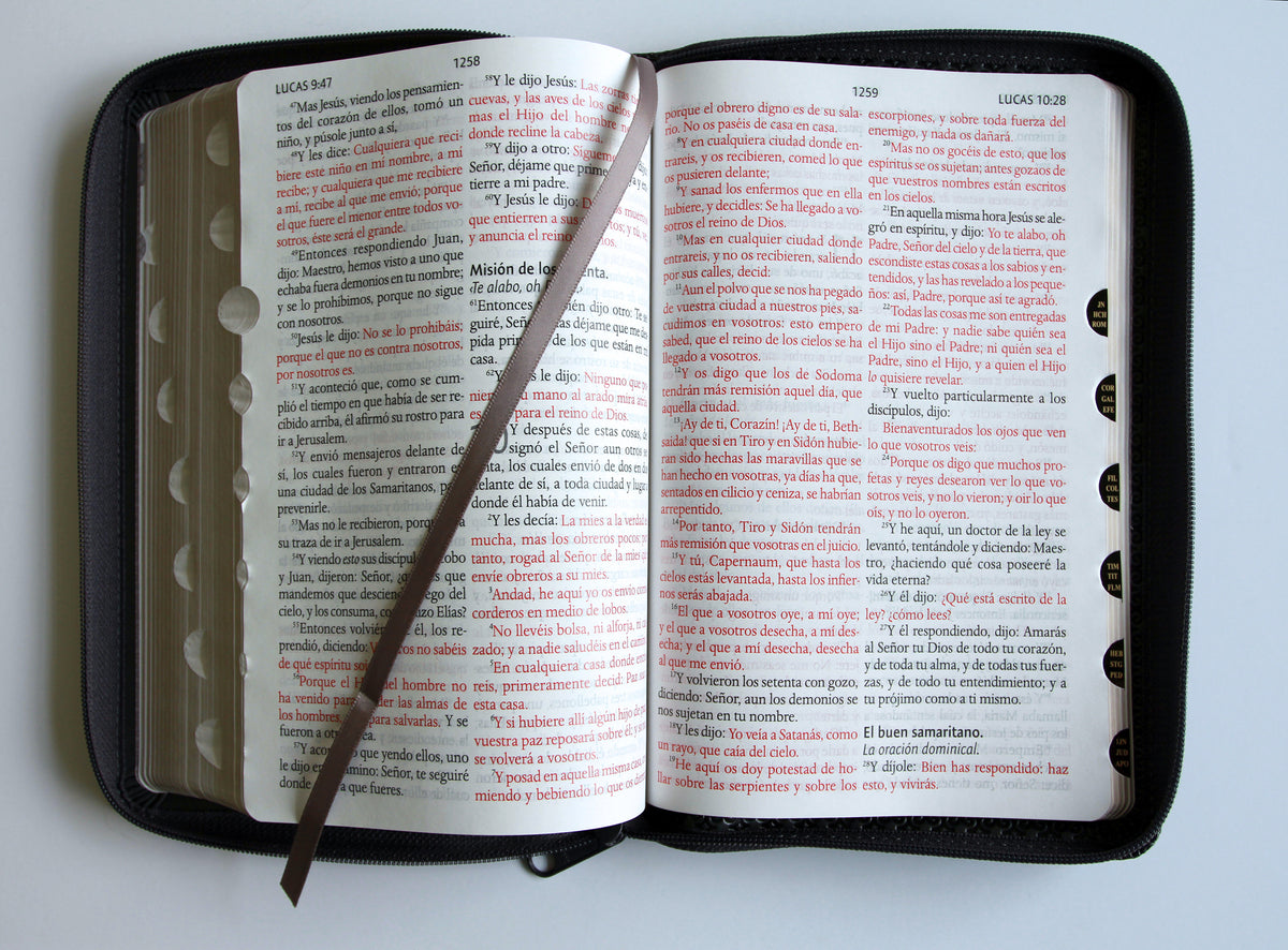 Biblia Reina Valera letra gigante, símil piel gris con cremallera e índice / Spanish Bible Reina Valera Giant Print, Gray Leathersoft with Zipper and Index interior 6 (ISBN 9798890988218) [onix:37dcbb37c0ee0fe8bace5cb15b17dcbd]