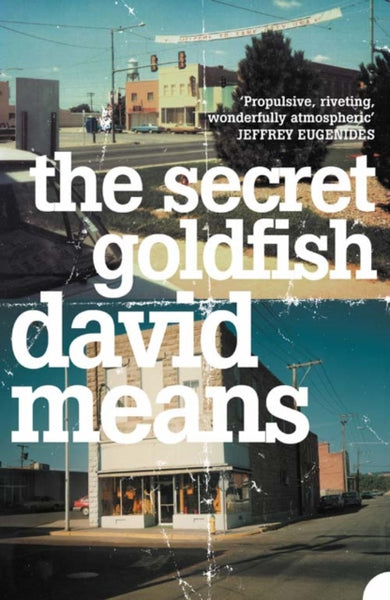 The Secret Goldfish cover (ISBN 9780007164882) [onix-asset:83aafb2dacc6ec70bc2bc3de0ba699e9acb2f182b5119aa43b420608b9e14bc2]