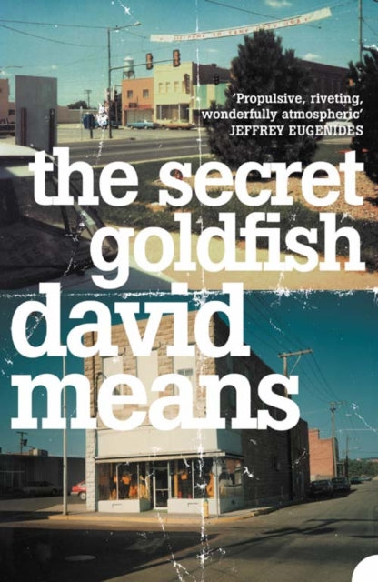 The Secret Goldfish cover (ISBN 9780007164882) [onix-asset:83aafb2dacc6ec70bc2bc3de0ba699e9acb2f182b5119aa43b420608b9e14bc2]