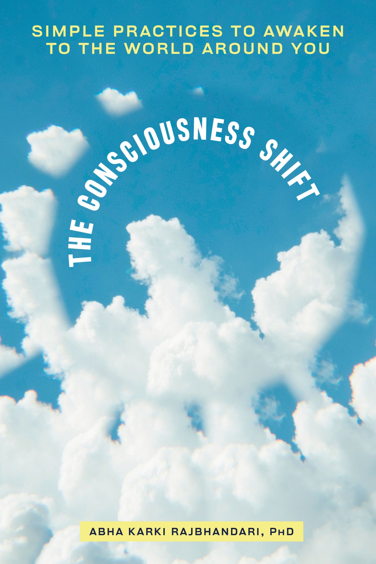 The Consciousness Shift cover (ISBN 9798217330737) [onix:0f65659715fe74d6b8ec96f831f78eff]