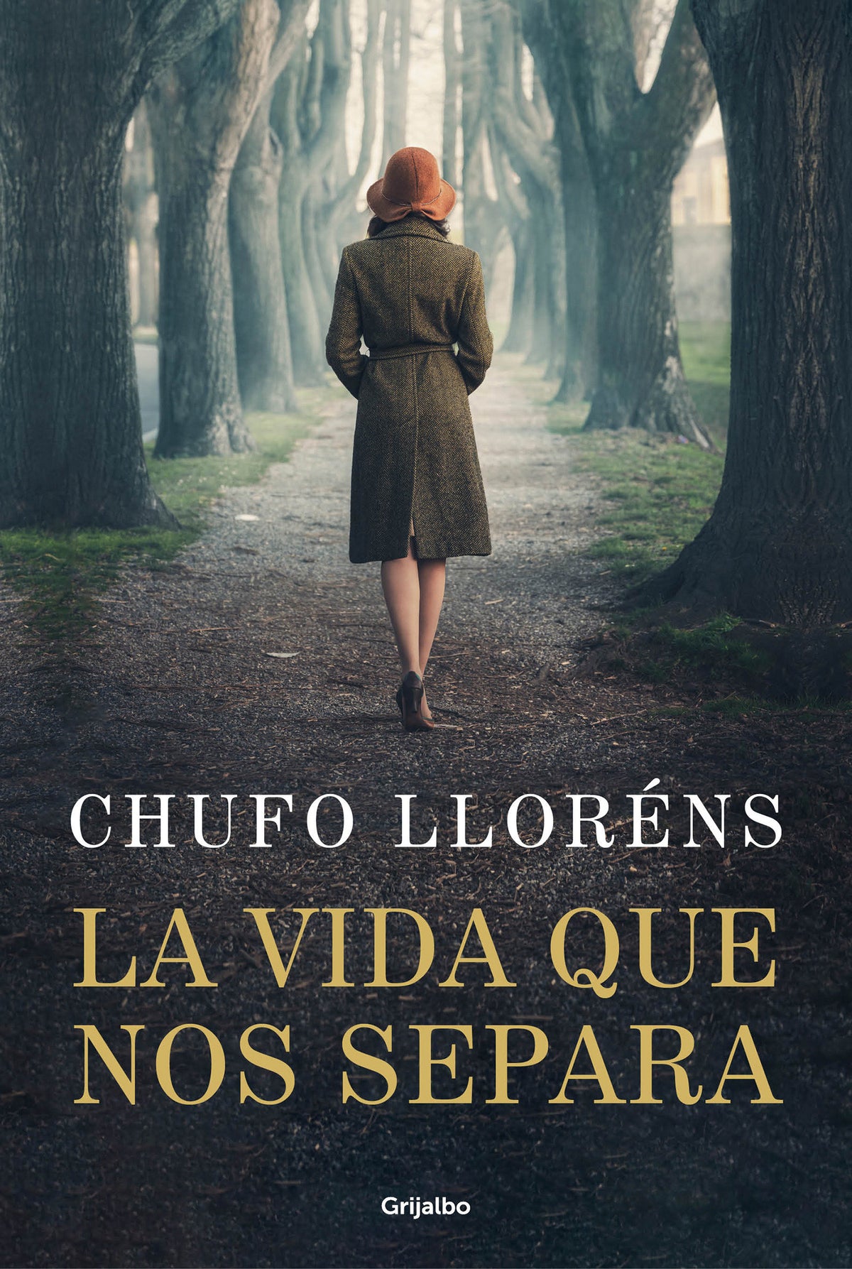 La vida que nos separa / The Life That Separates Us cover (ISBN 9788425364099) [onix:77a19ada2283a75a71b1d73b7f7180d8]