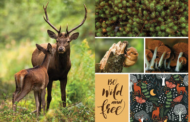 Cut and Collage Woodland Creatures interior 4 (ISBN 9798887621647) [onix-asset:7154802410b29ff789c0ef165de8aa2febfb8dd825da45b9352db3efee914542]
