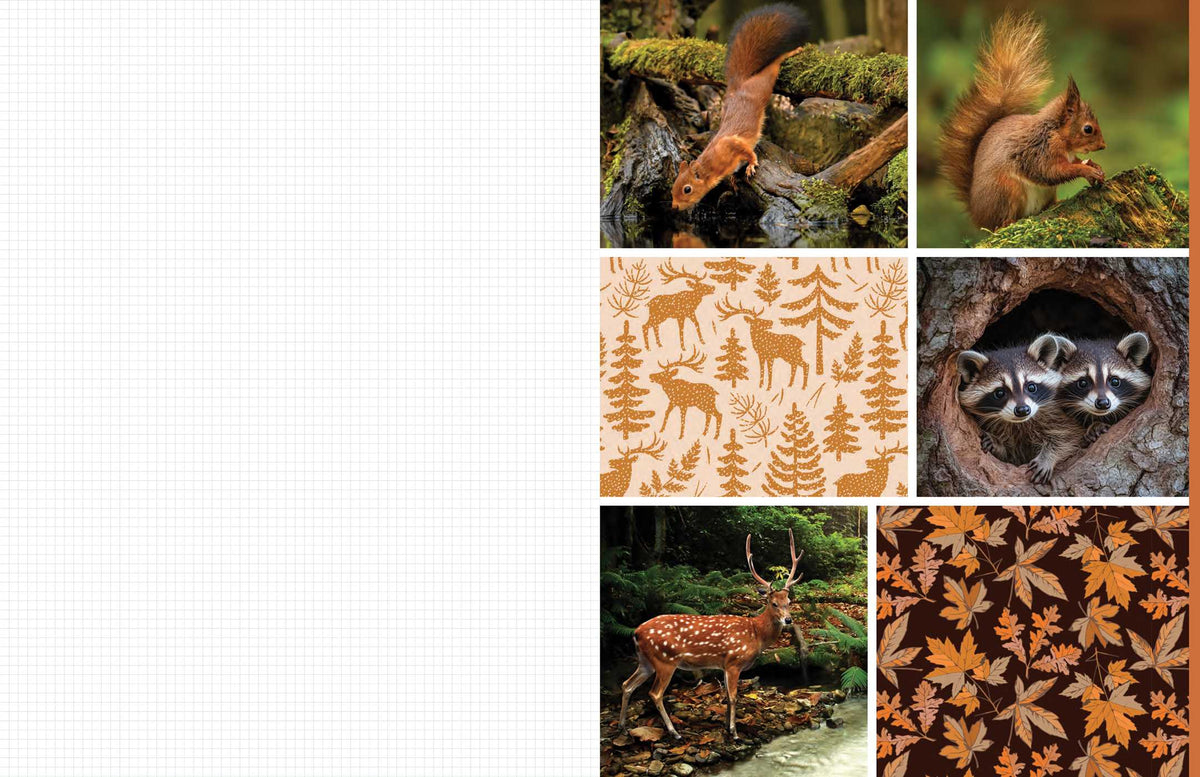 Cut and Collage Woodland Creatures interior 5 (ISBN 9798887621647) [onix-asset:a593d667e7261d50c4f66253c81880b788f37337a4300bda80c657eaffff7bd2]