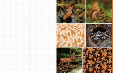 Cut and Collage Woodland Creatures interior 5 (ISBN 9798887621647) [onix-asset:a593d667e7261d50c4f66253c81880b788f37337a4300bda80c657eaffff7bd2]