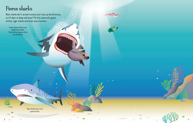 First Sticker Book Sharks and Rays interior 1 (ISBN 9781803709871) [onix-asset:80661c805108084a2d4764225acaff87be7753d905b89691f5277fbc8d044ae5]