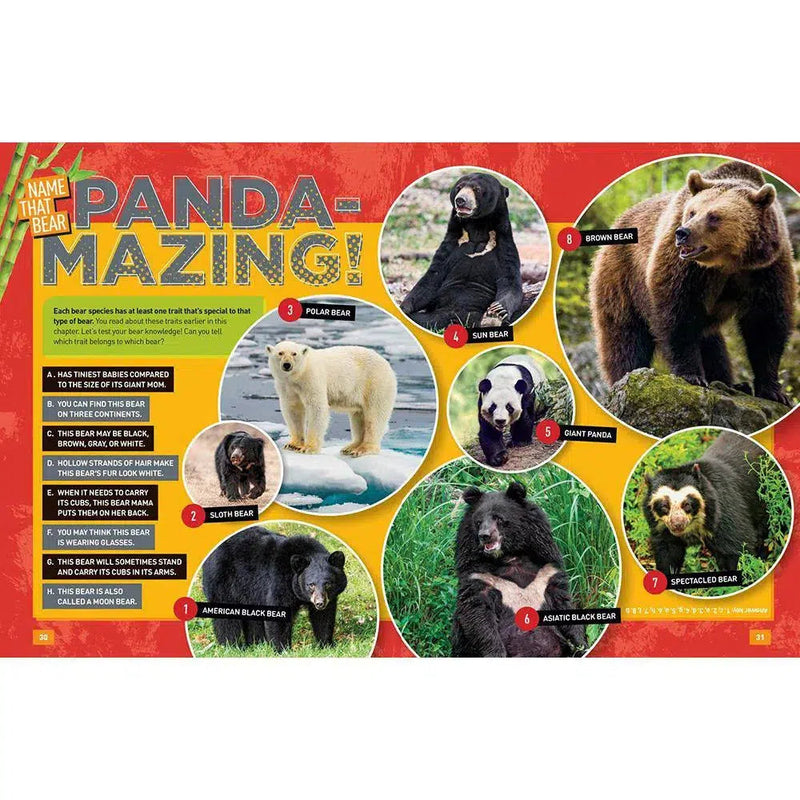 NGK Absolute Expert: Pandas (Hardback) National Geographic