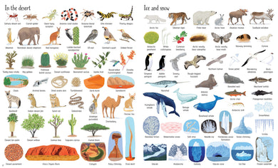 1000 Things in Nature interior 1 (ISBN 9781474922128) [onix-asset:21dc1bbe38653e105d11aaa4762c64232de66552c4e603fa60d7cb4fa00ea24c]