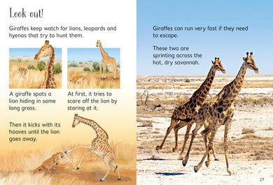 Giraffes interior 1 (ISBN 9781474968065) [onix-asset:f89846023b1fb808041d521cabc58c8005eafa96f3b6a49267db7d21dd3a5d2e]