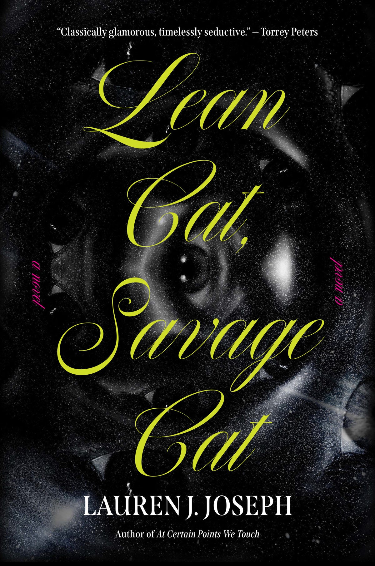 Lean Cat, Savage Cat cover (ISBN 9781646223725)