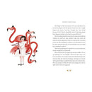 Alice's Adventures in Wonderland (Paperback) Macmillan UK