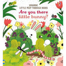 Are you there little bunny? Usborne