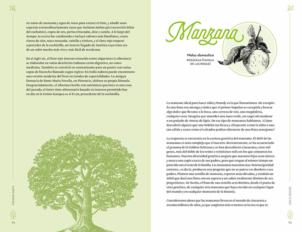 Botánica para cócteles. Las plantas que han dado origen a las mejores bebidas del mundo / The Drunken Botanist interior 2 (ISBN 9788419851833) [onix:73f9ff4bc7da24bb56a543f7a0fd3f6b]