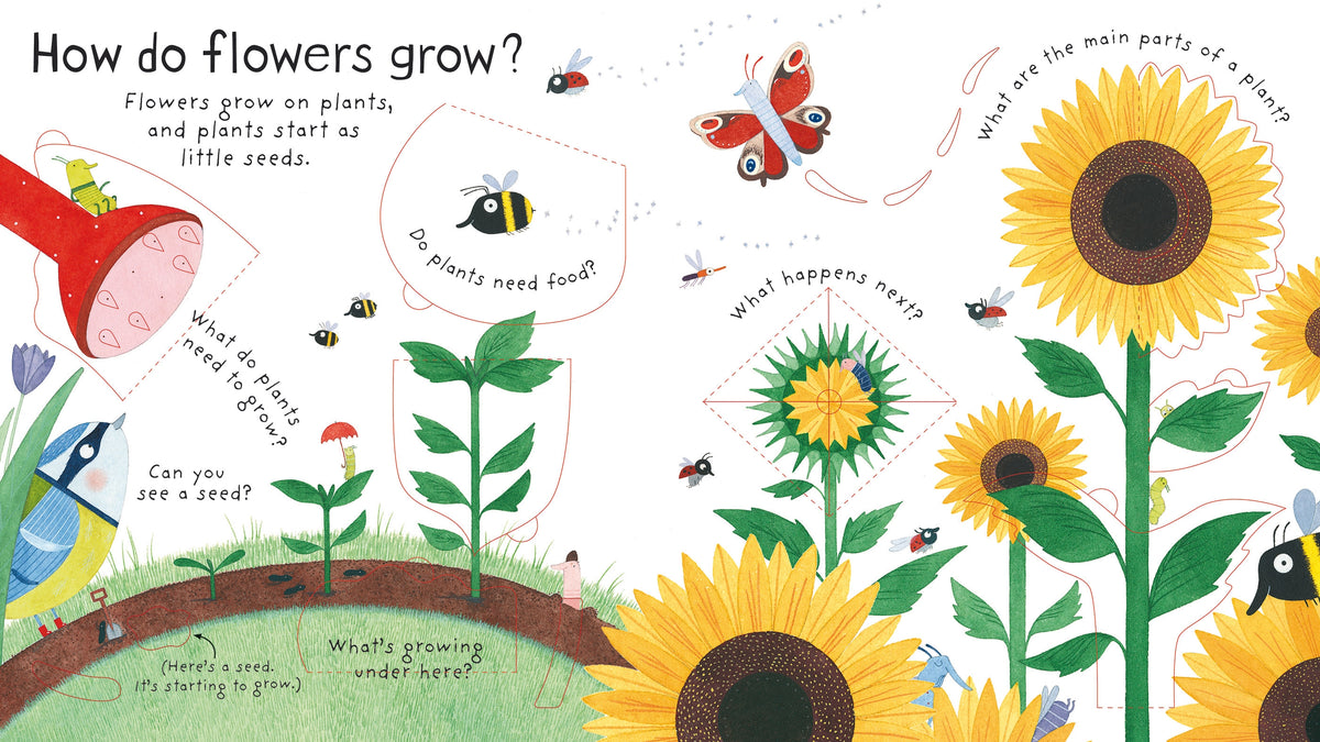First Questions and Answers: How do flowers grow? interior 1 (ISBN 9781409582137) [onix-asset:c3e7aaa89f86cc1d6be1ca07564dca4225fc6ccb26699f3acb06de7669e9fa8c]