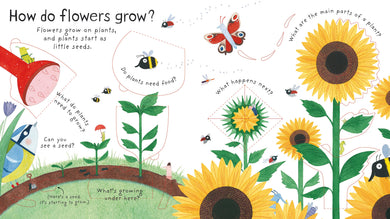 First Questions and Answers: How do flowers grow? interior 1 (ISBN 9781409582137) [onix-asset:c3e7aaa89f86cc1d6be1ca07564dca4225fc6ccb26699f3acb06de7669e9fa8c]