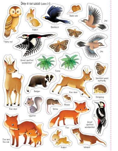 First Sticker Book Nature interior 1 (ISBN 9781409597476) [onix-asset:1b0786a70a055ef0d6f3af512690a10b526324b751866630834148a689975c35]