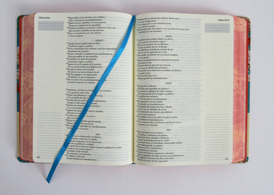 Biblia de Apuntes RVR 1960 Tapa dura, Azul celeste con flores (Edición cantos pintados) / Spanish Journaling Bible RVR 1960 Hardcover Light Blue with Flowers interior 1 (ISBN 9798890982278) [onix:2e5cd7b9ce914e1c0a1c305f577fb6da]