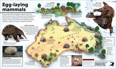 What's Where on Earth? Animal Atlas interior 1 (ISBN 9780241412909) [onix-asset:3adf3ebe8b760571be4c869ba9fb5eaeadc88ca0d394c108506e51acaca65547]
