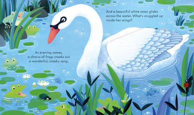 Peep Inside the Pond interior 1 (ISBN 9781803703350) [onix-asset:03bd1fcc7271bee822820225e20c03c7adbbf059025d91a156151dc00d4c410e]