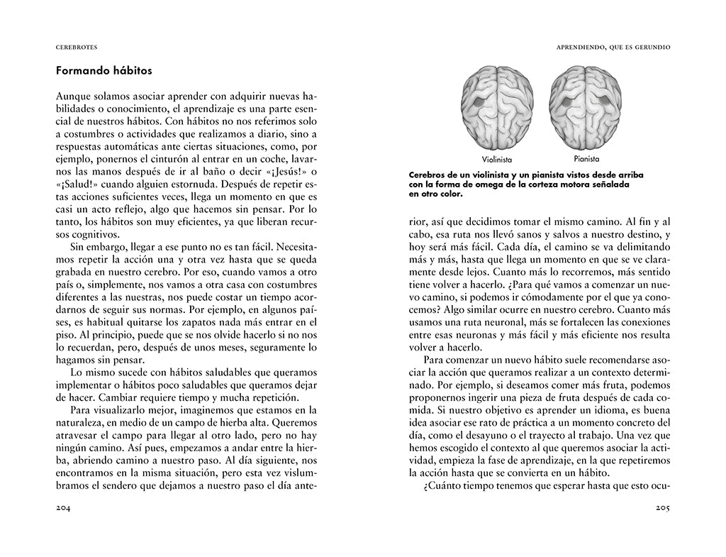 Cerebrotes: Cultiva y moldea tu cerebro gracias a la neuroplasticidad / Brainiac interior 5 (ISBN 9788419965011) [onix:d31271d1114f78715cc9e204495600a5]