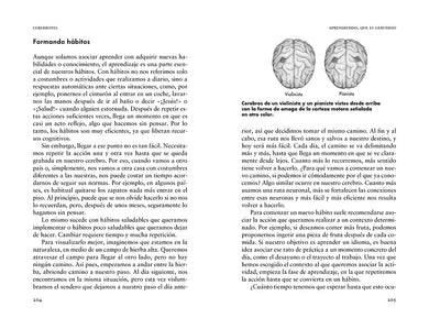 Cerebrotes: Cultiva y moldea tu cerebro gracias a la neuroplasticidad / Brainiac interior 5 (ISBN 9788419965011) [onix:d31271d1114f78715cc9e204495600a5]