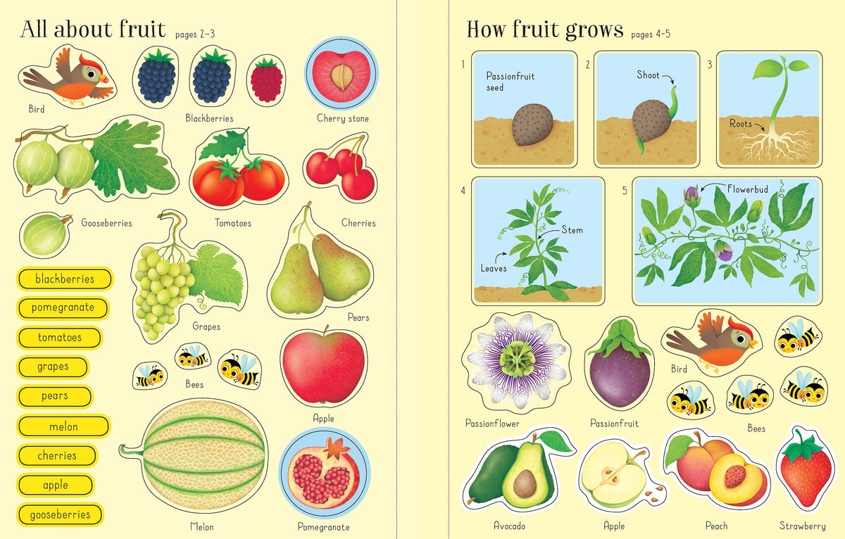First Sticker Book Fruit and Vegetables interior 1 (ISBN 9781474922197) [onix-asset:06283156132eaa92a6cd9ad2d1653886dd6ee430970e59b382e9805520e4362c]