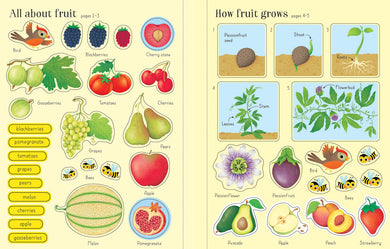 First Sticker Book Fruit and Vegetables interior 1 (ISBN 9781474922197) [onix-asset:06283156132eaa92a6cd9ad2d1653886dd6ee430970e59b382e9805520e4362c]