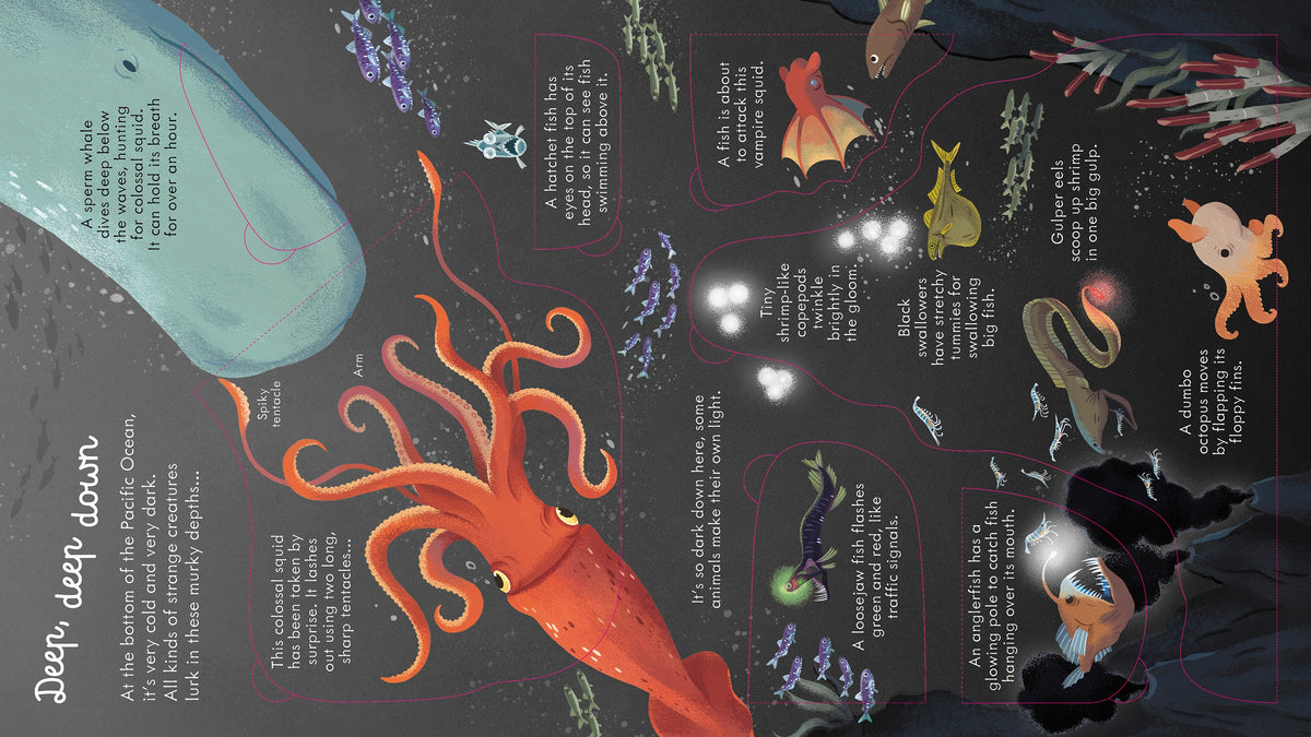 Look Inside Seas and Oceans interior 1 (ISBN 9781474947060) [onix-asset:3d60540b5ad78a0592ef8fd0fa2928bdbe5b6333ac5e6516f00b62ae0a501738]