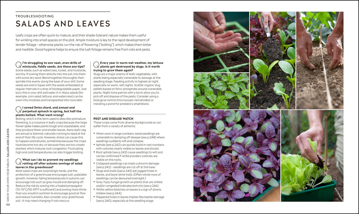 RHS Step-by-Step Veg Patch interior 5 (ISBN 9780241412411) [onix-asset:7e7bf143391e6bd213ac3a1902df1d76f3e7790d45fab8c36d6b147cc0e16695]