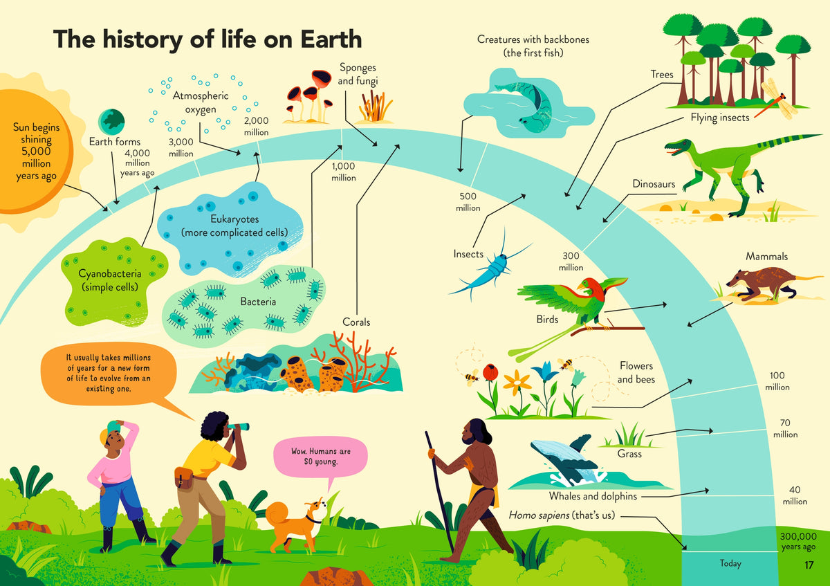 Ecology for Beginners interior 1 (ISBN 9781474998475) [onix-asset:328a43fe039f77e65bfa58ee966628b1d486b7ddc3d08ee79592d2834863f2d9]