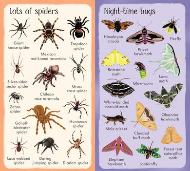 199 Bugs interior 1 (ISBN 9781474965200) [onix-asset:9d547f637c50720a42356aecd8e0fcafb556ac688f2545c77a454ba68affe4e5]